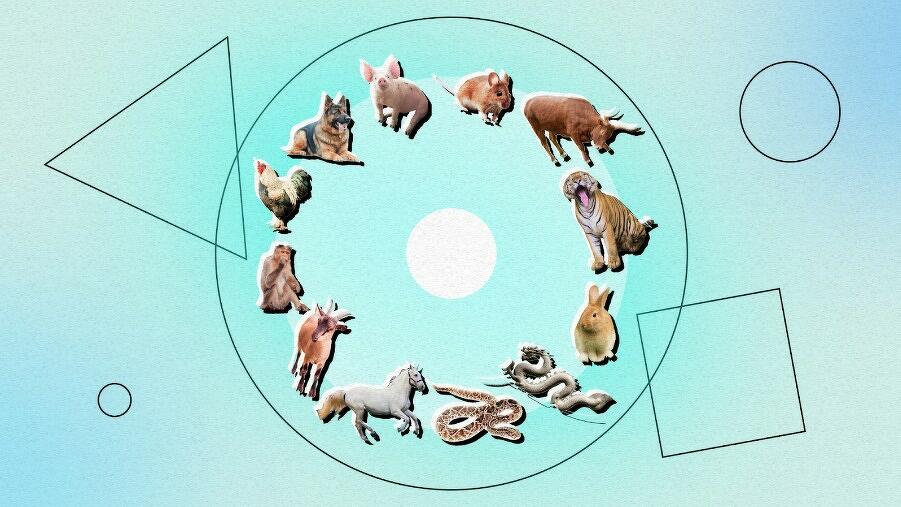 2023: год какого животного, какой год по восточному гороскопу и символ года
