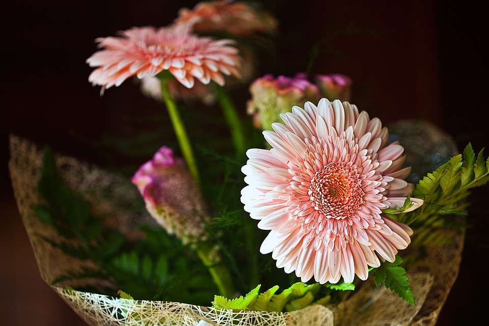ТОП-10 цветов которые стоят дольше | статьи из мира флористики на блоге  Flowwow