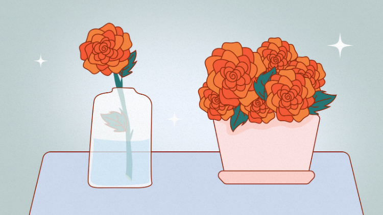 Как укоренить розу из букета в домашних условиях: укоренение черенков  подаренных роз дома