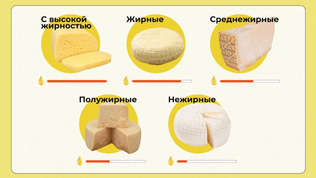 Рецепт приготовления сыра качотта в домашних условиях
