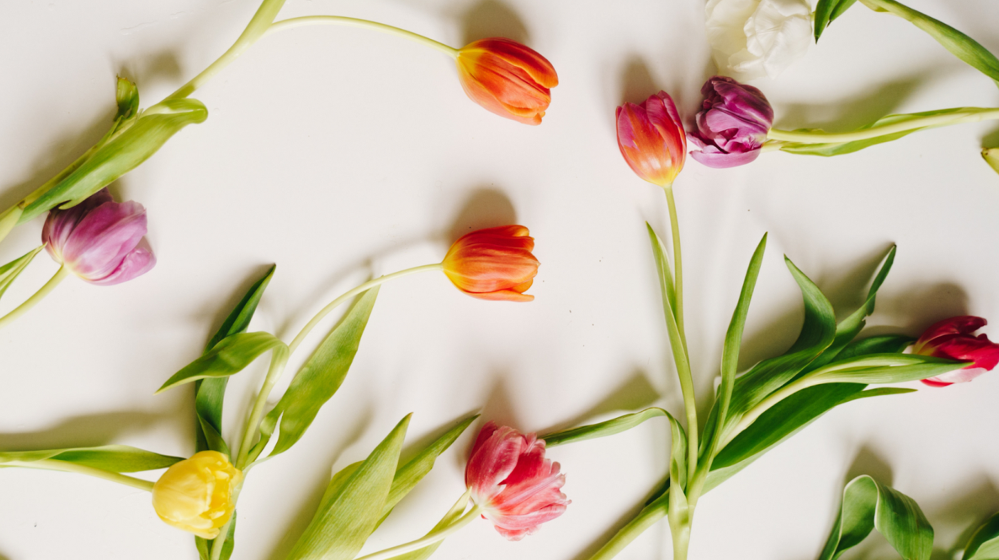 Как правильно хранить тюльпаны после их цветения: советы и рекомендации